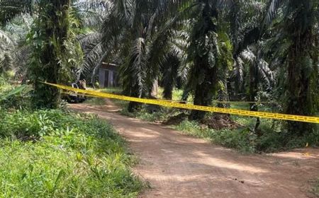 Pekerja Migran Indonesia Tewas Tertembak di Kebun Sawit Malaysia, KJRI Kuching Turun Tangan