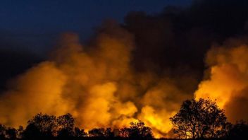 Kebakaran Hutan di Ciremai, 120 Petugas Damkar Diturunkan