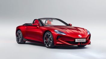 MG lancera sept nouveaux modèles en Inde d’ici 2025, Qu’est-ce?