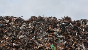 Ada Masalah Sampah Plastik di Balik Kebiasaan Belanja Daring Saat Pandemi