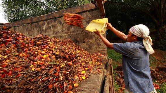 SPKS ने सरकार से एक दरवाजा पाम तेल निर्यात योजना का तुरंत मूल्यांकन करने की उम्मीद की