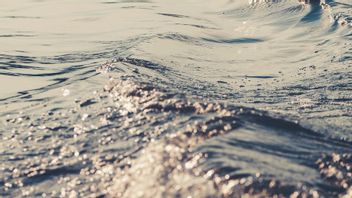 Asyik Berenang Bareng Temannya, Bocah 15 Tahun Tewas Terseret Arus Sungai Cisadane