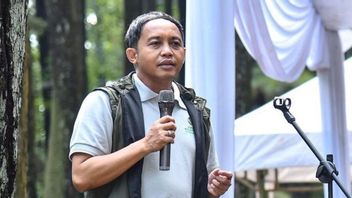DPR Bela Raja Juli: Les dommages aux forêts ne sont pas la faute de Menhut, mais l'héritage de la réforme