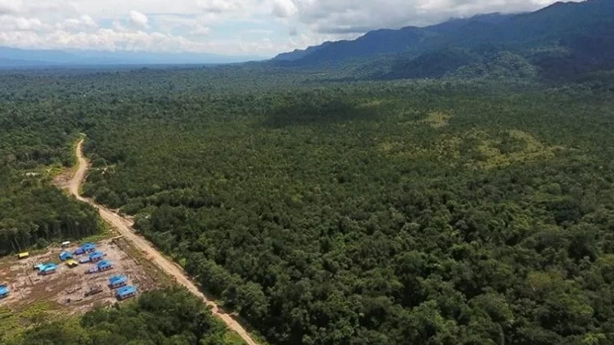 森林保护区面积为160万公顷，但西巴布亚只有45名林业推广人员
