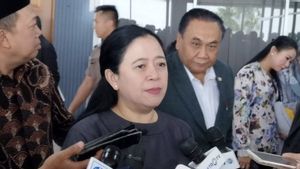 Puan: Pertemuan Ibu Mega dan Pak Prabowo Akan Segera Kita Adakan di Tempat yang Asyik