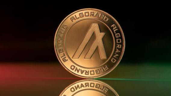 Uang Kripto Algorand Menguat Usai Dapat Suntikan Dana dari Arrington Capital