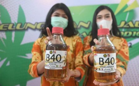 Sambut Program Biodiesel B40, Kadin Minta Pemerintah Beri Insentif bagi Pelaku Usaha