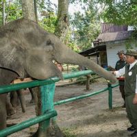 Menhut: Bencana di Sumatera Titik Balik Perbaikan Tata Kelola Hutan