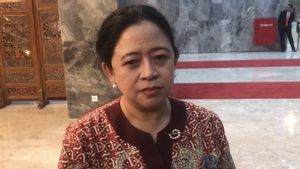 Ganjar Beri Nilai Merah Penegakan Hukum Era Jokowi, Puan: PDIP Selalu Otokritik
