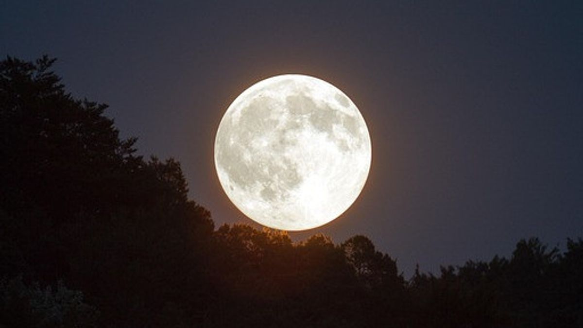 an sur la superlune de 2025 décolera le ciel le 5 novembre