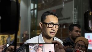 Selidiki Dugaan Korupsi Whoosh, KPK Bilang Begini Soal Peluang Panggil Luhut