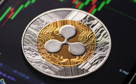 Dukungan untuk Ripple, Perusahaan Ini Ajukan Amicus Curiae ke Pengadilan untuk Lawan SEC