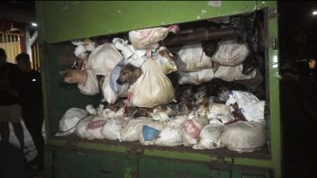 Polisi Tetapkan 5 Tersangka Pengiriman Ratusan Anjing untuk Dikonsumsi di Semarang