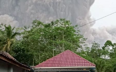 Gunung Semeru Erupsi, Guguran Awan Panas Mengarah ke Desa Sapiturang Lumajang