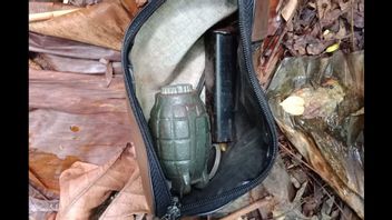 アラマク!何年もの間、Nttの住民サントゥイは、地面にアクティブなパイナップル手榴弾を保存します