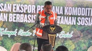 Maluku Ekspor 45 Ton Komoditas Perhutanan Sosial ke China-India