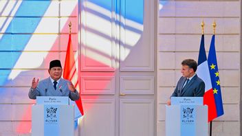 Dari Kerja Sama Pertahanan hingga IEU-CEPA, Dibahas Presiden Prabowo dan Presiden Macron di Istana Elysee