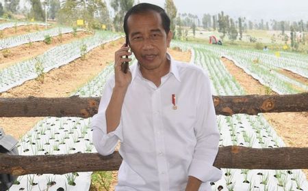 Bawang Putih Impor Masuk Temanggung Saat Panen, Jokowi Telepon Muhammad Lutfi: Pak Menteri...