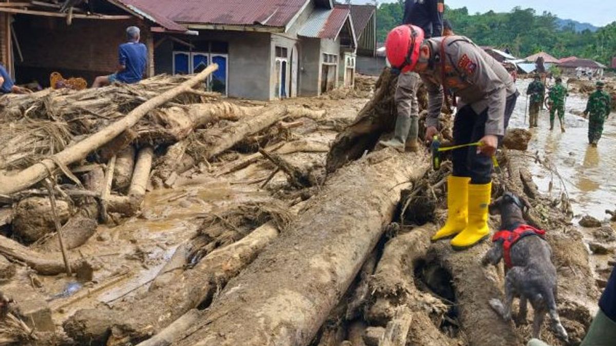12月8日最新数据：苏门答腊亚齐灾难造成929人死亡，274人失踪