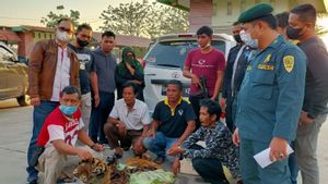Petugas Gabungan Tangkap Empat Pelaku Penjualan Kulit Harimau di Kampar Riau