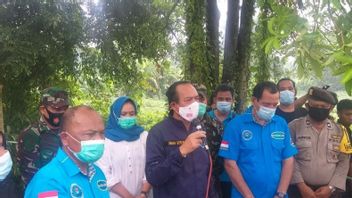 BNN Arrête 5 Suspects Dans Des Affaires De Drogue à Medan, 141 Kg De Marijuana Confisqués