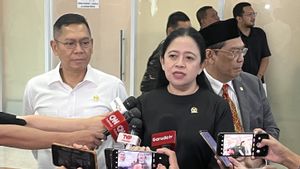 Puan Tegaskan Jawa Tengah Masih Jadi Kandang Banteng Meski Andika-Hendar Kalah di Pilkada Jateng