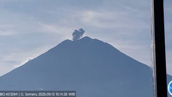 Gunung Semeru Erupsi dengan Tinggi Letusan 500 Meter di Atas Puncak