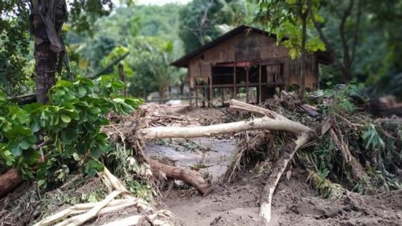 Data Terkini Banjir NTT: Korban Meninggal 124 Orang, 74 Orang Masih Hilang