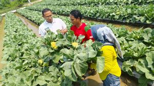 Rayakan Hari Tani Nasional, Ratusan Petani Pelajari Teknologi Pertanian Modern