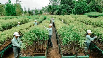 MIND IDは、2030年までに温室効果ガス排出量を21.4%削減することを目標としています。