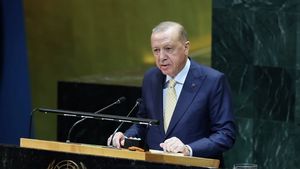 Erdogan Puji Trump Bujuk Netanyahu Akhiri Perang Gaza