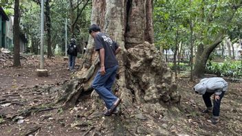 ar gâchis des installations publiques, un emplacement de chasse à Monnaie à Jakarta dijaga Satpol PP