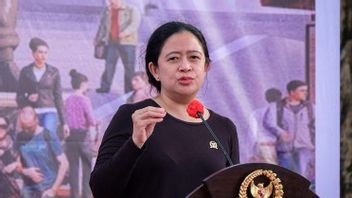 Dinilai Kaku Lembaga Survei, Senior PDIP: Puan Maharani Terbuka dan Responsif