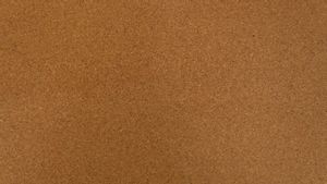 Perpaduan Warna Coklat​ yang Tidak Mencolok, Ini Pilihannya