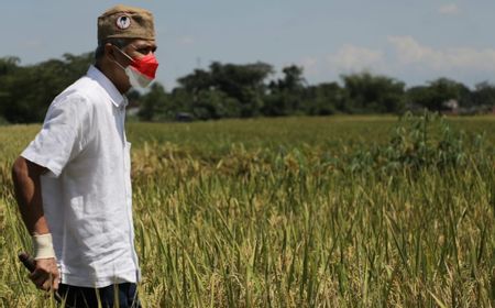 Mampir ke Kampung Pancasila di Madiun, Ganjar Pranowo: Menarik, Ini Cerminan Indonesia