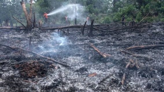 322 Titik Api Karhutla Terdeteksi di Pulau Sumatera, Sumsel Terbanyak