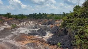 Otorita IKN Perang Terhadap Aktivitas Ilegal di Kawasan Ibu Kota Nusantara