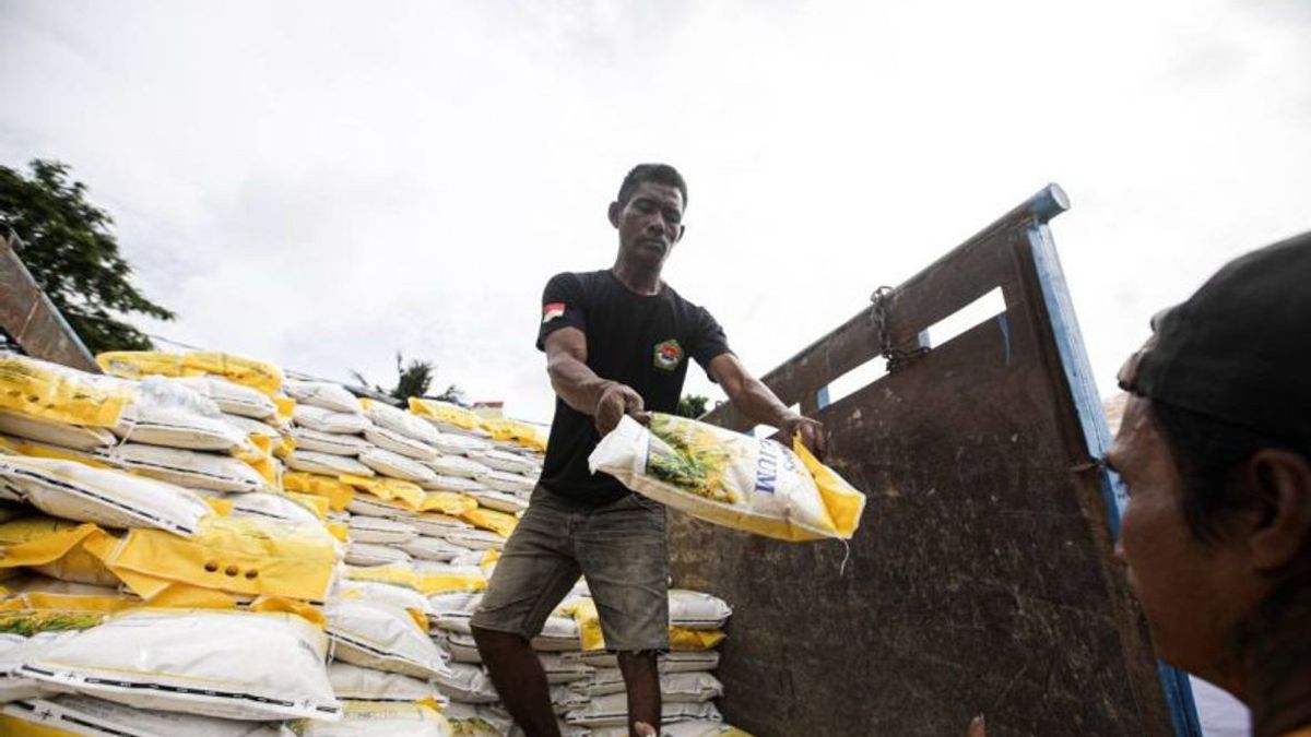 Anticipating El Nino, DKI Stocks Of Rice Reserves 2 Times From Last Year