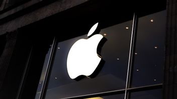 CEO Apple dan Microsoft Bakal Datang ke Indonesia, Mau Buat Pabrik Sendiri?
