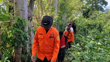2日目、バサルナスはブトンガーデンで行方不明の男性の捜索を続けた。