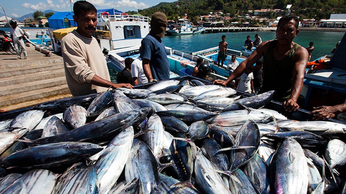 KKP يطبع التاريخ! مصايد الأسماك والودائع البحرية PNBP تصل إلى 1.79 تريليون روبية إندونيسية