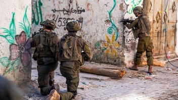Suara Tiga Sandera yang Tewas di Gaza Sempat Terekam Kamera Anjing Militer Sebelum Ditembak Tentara Israel