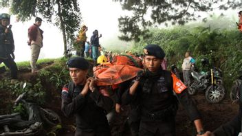 Police Identify 11 Victims Of Mount Marapi Eruption
