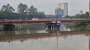 DPR Dukung Menteri LH Gugat Pabrik Pestisida Biang Pencemaran Kali Cisadane: Jangan Ada Kompromi