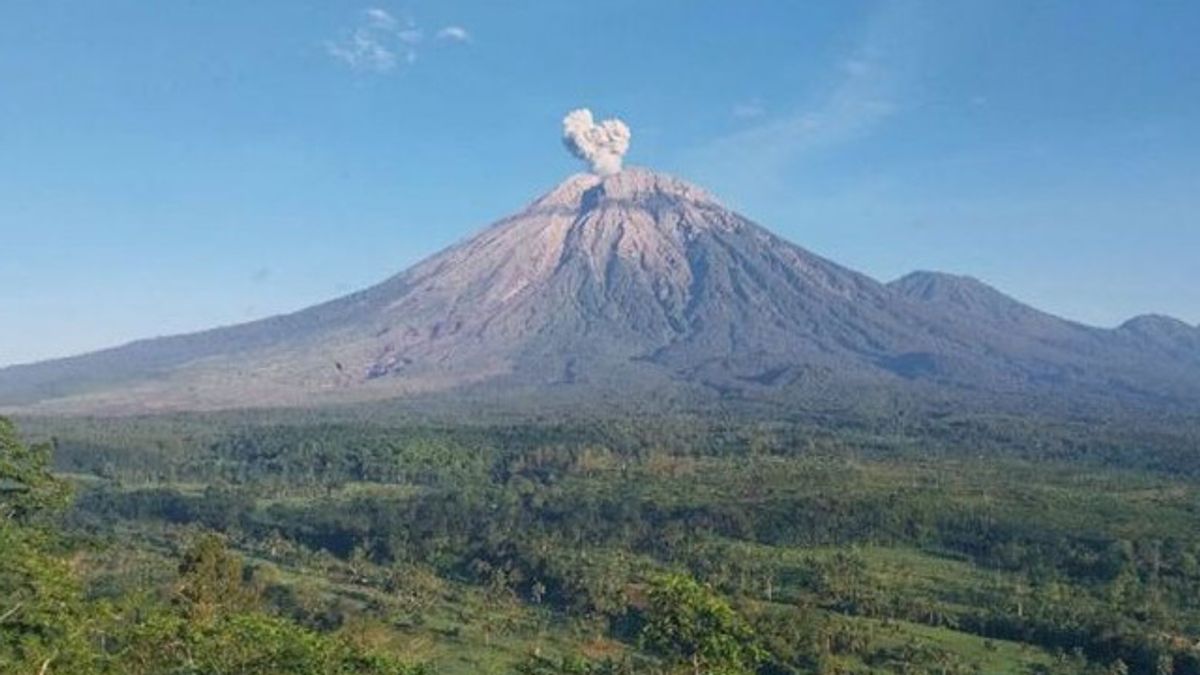 Gunung Semeru Erupsi dengan Abu Vulkanik ke Arah Barat Daya