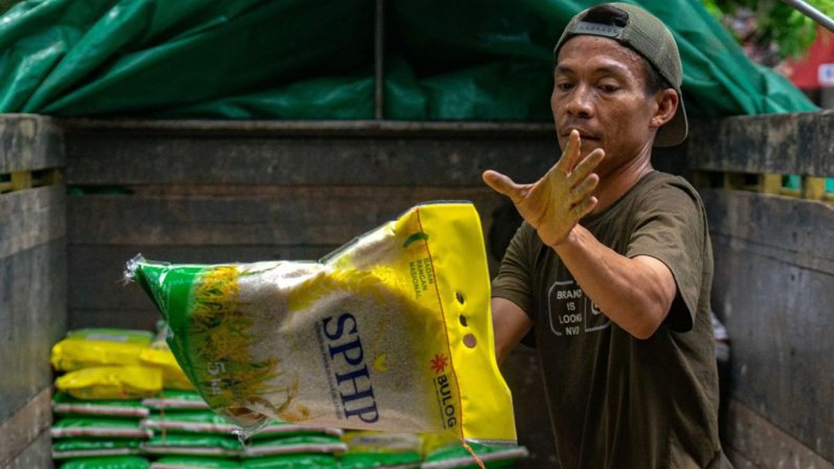 سعر الأرز كيان تينغي، الاقتصادي سيليوس: الحكومة بحاجة إلى حل المشاكل في المنبع