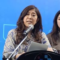 PP Tunas Mulai Berlaku, TikTok Cs Tak Bisa Lagi Abaikan Aturan