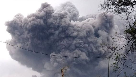 Ministère De La Santé: Certaines Victimes Du Nuage Chaud De Semeru Subissent Des Brûlures