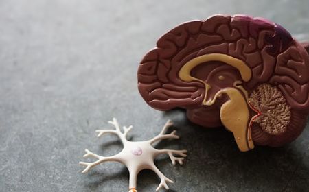 Mengenal Brain Rot, Pembusukan Otak Akibat Konsumsi Konten Kualitas Rendah di Media Sosial