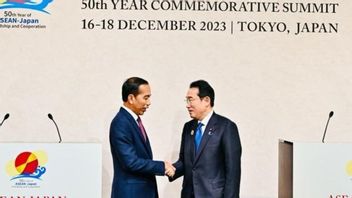 Meeting Japanese Prime Minister Kishida, Jokowi Discusses Bilateral Cooperation To Palestinian Issues
